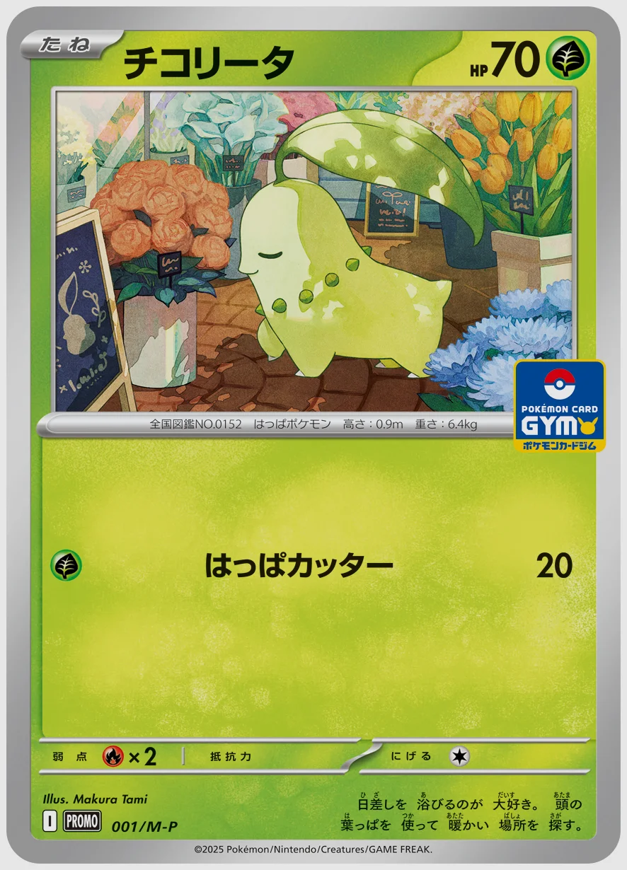 チコリータ