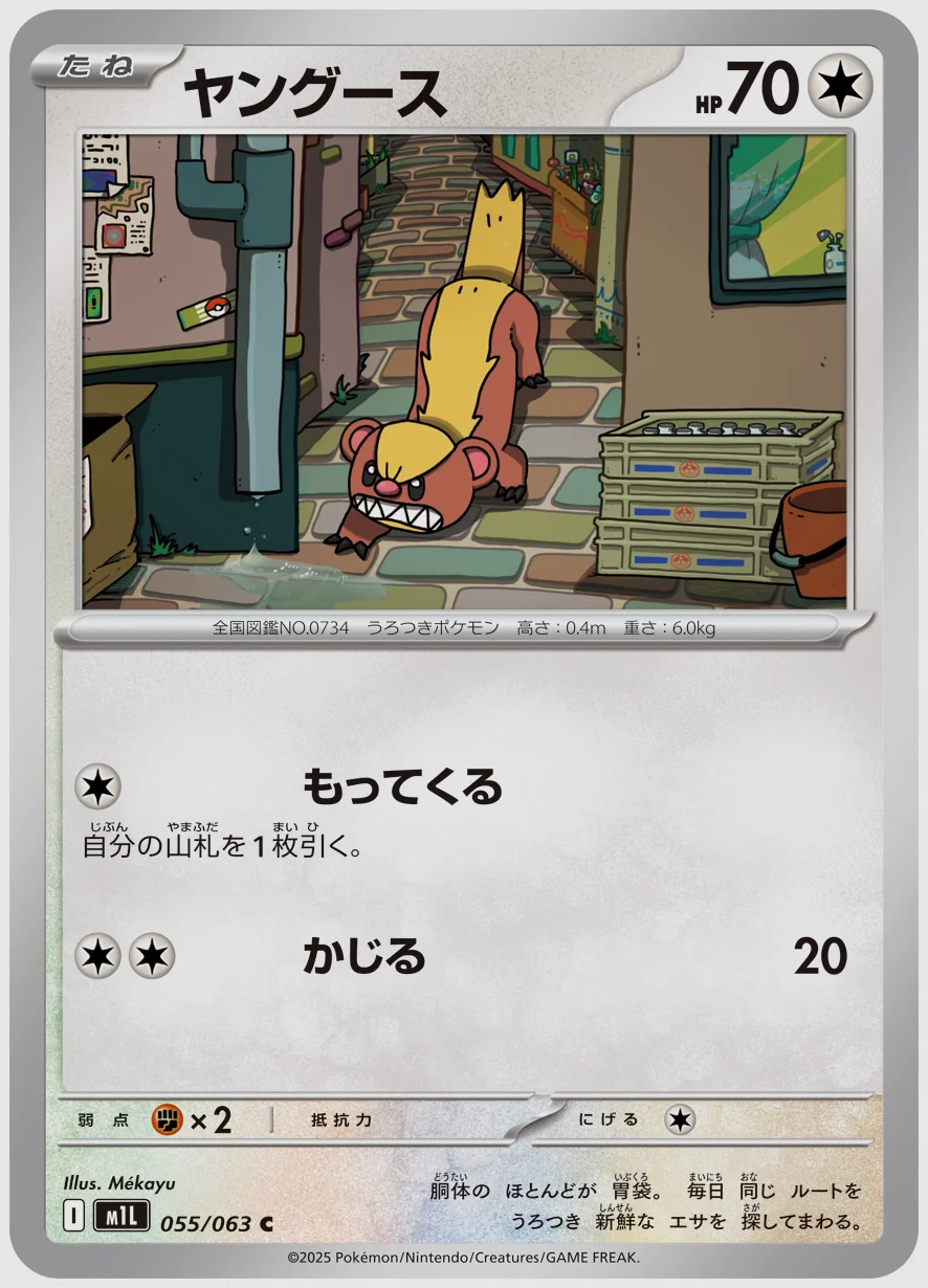 ヤングース