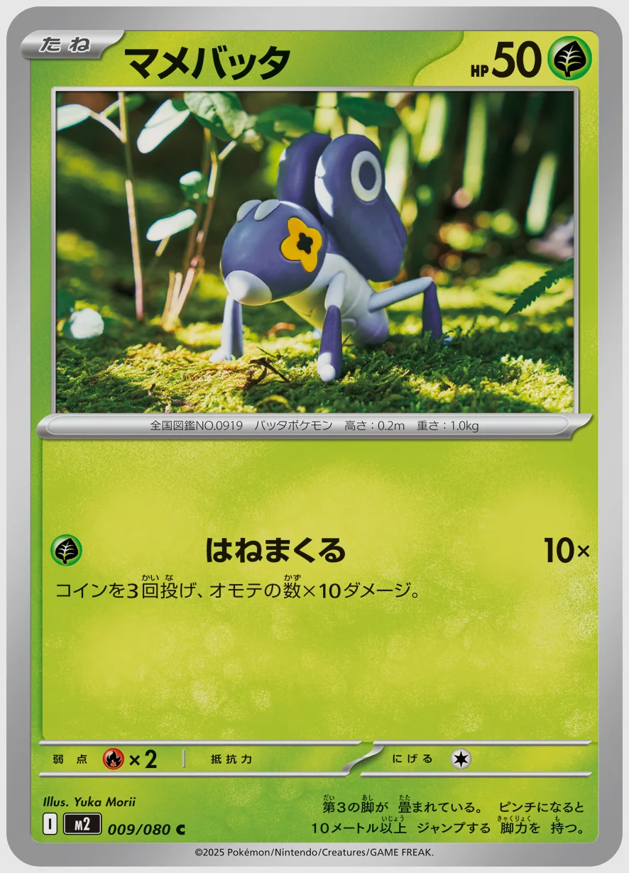 マメバッタ