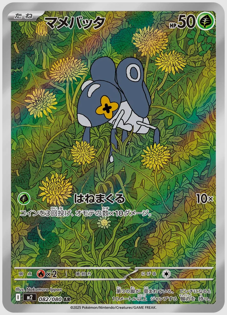 マメバッタ