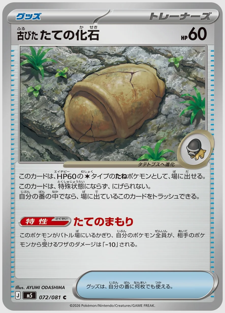 古びたたての化石