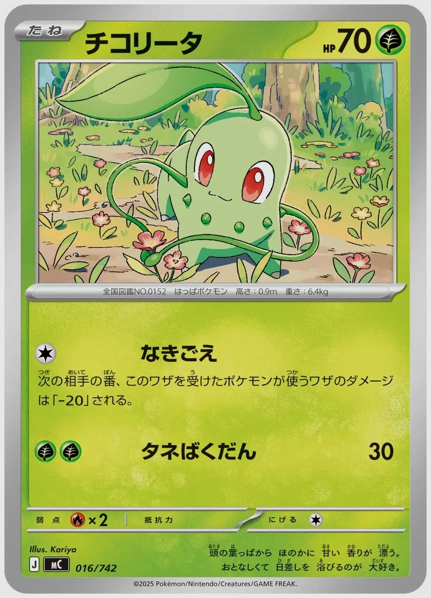 チコリータ