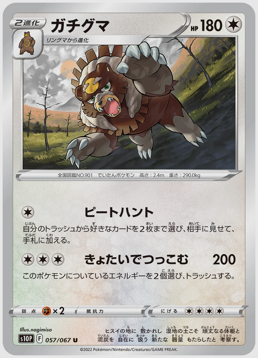 ガチグマ