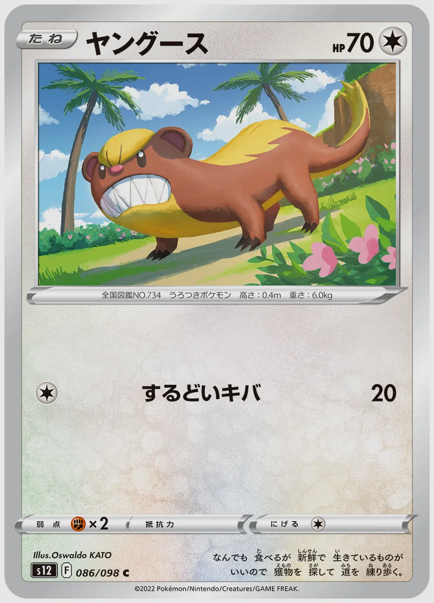 ヤングース