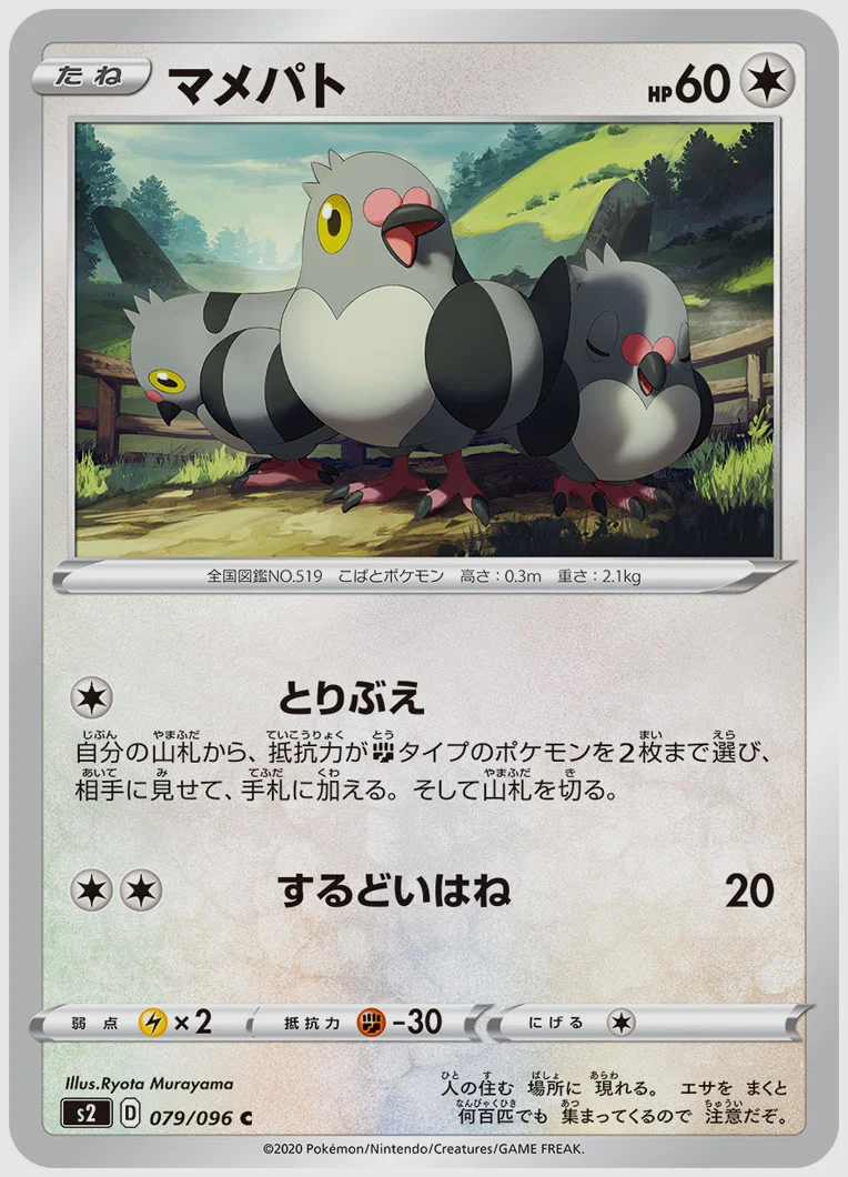マメパト