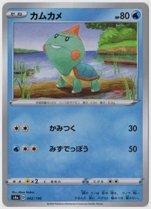 カムカメ