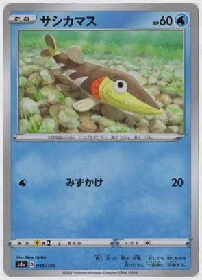 サシカマス