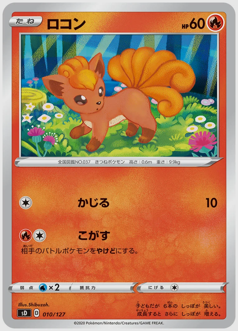 ロコン