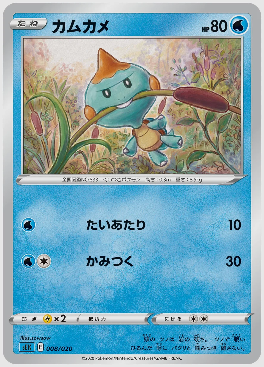 カムカメ