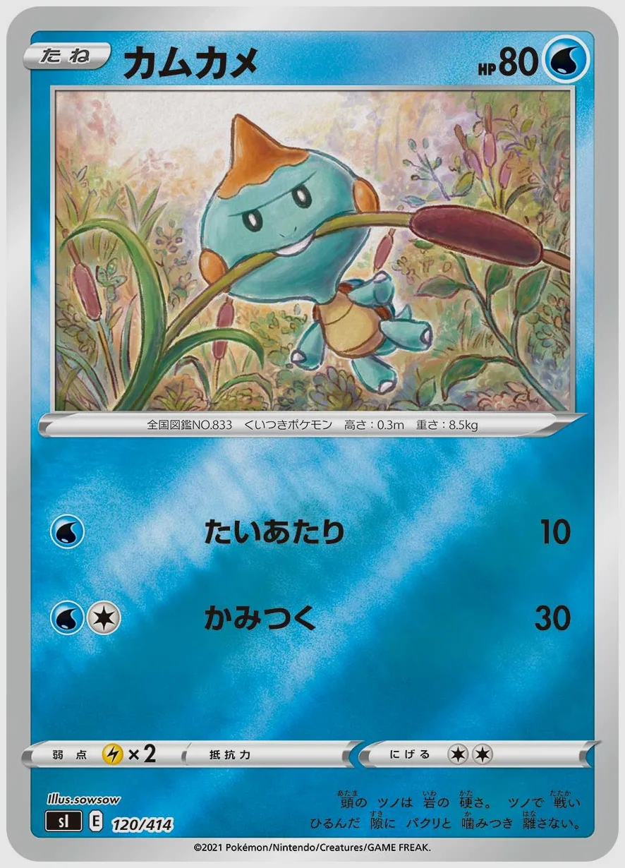 カムカメ