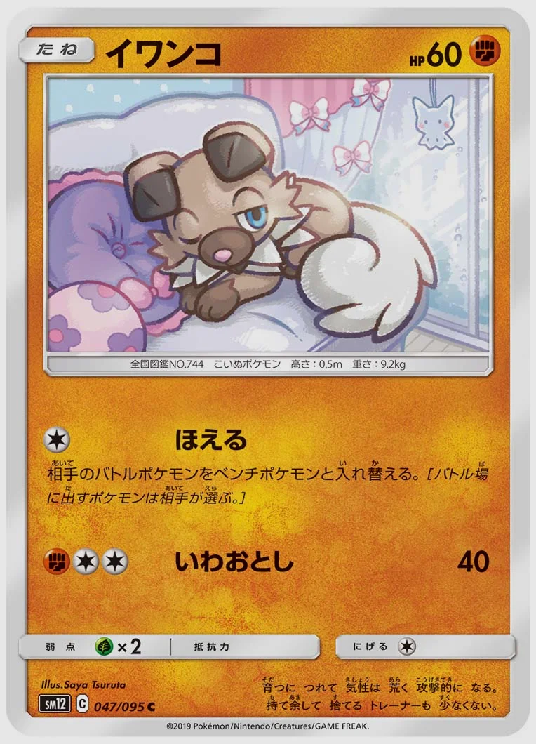 イワンコ