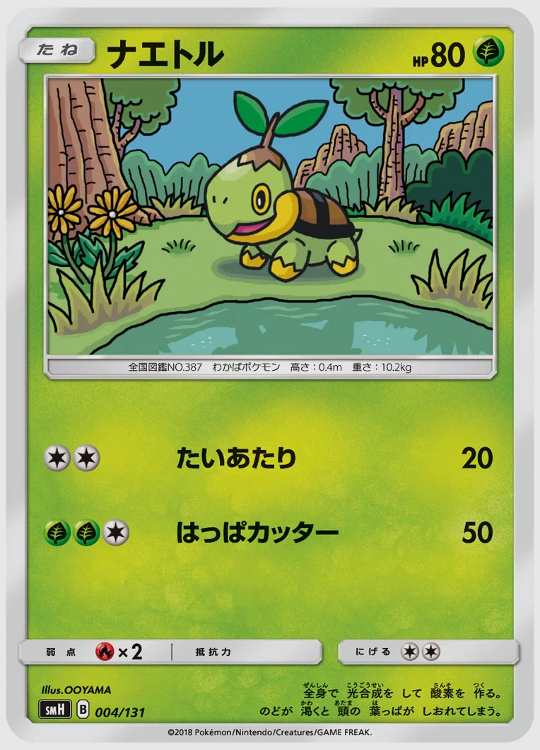 ナエトル