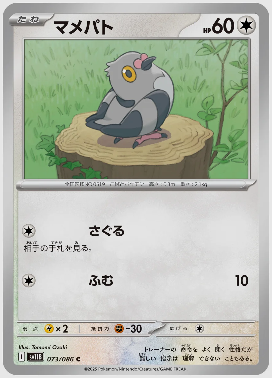 マメパト