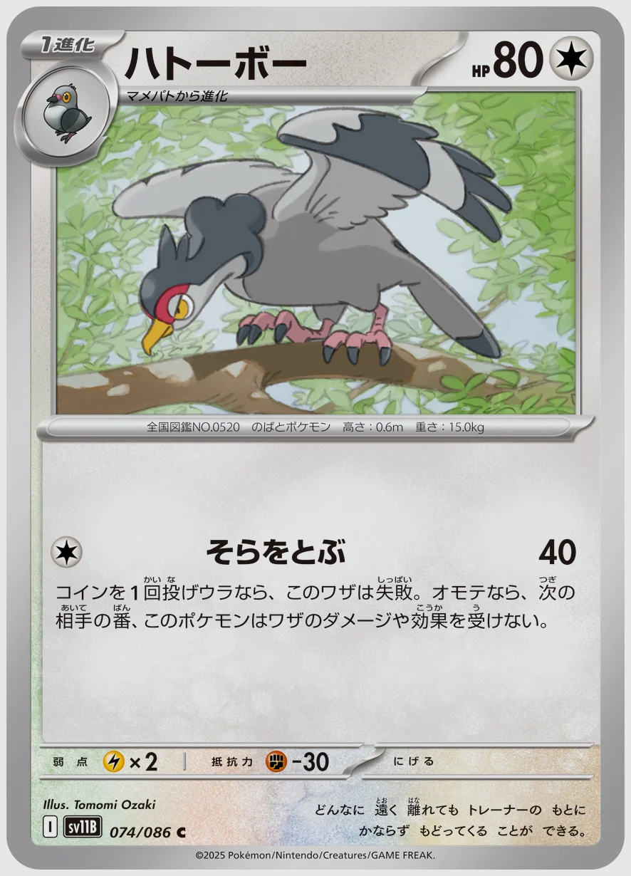 ハトーボー