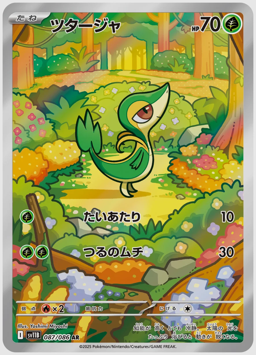 ツタージャ