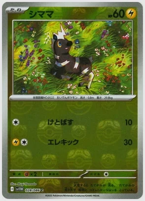 シママ