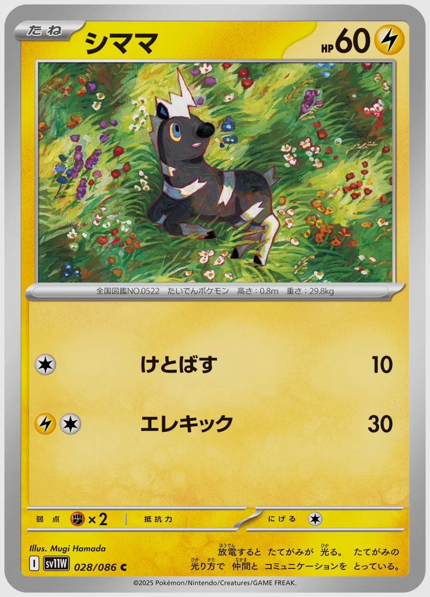 シママ