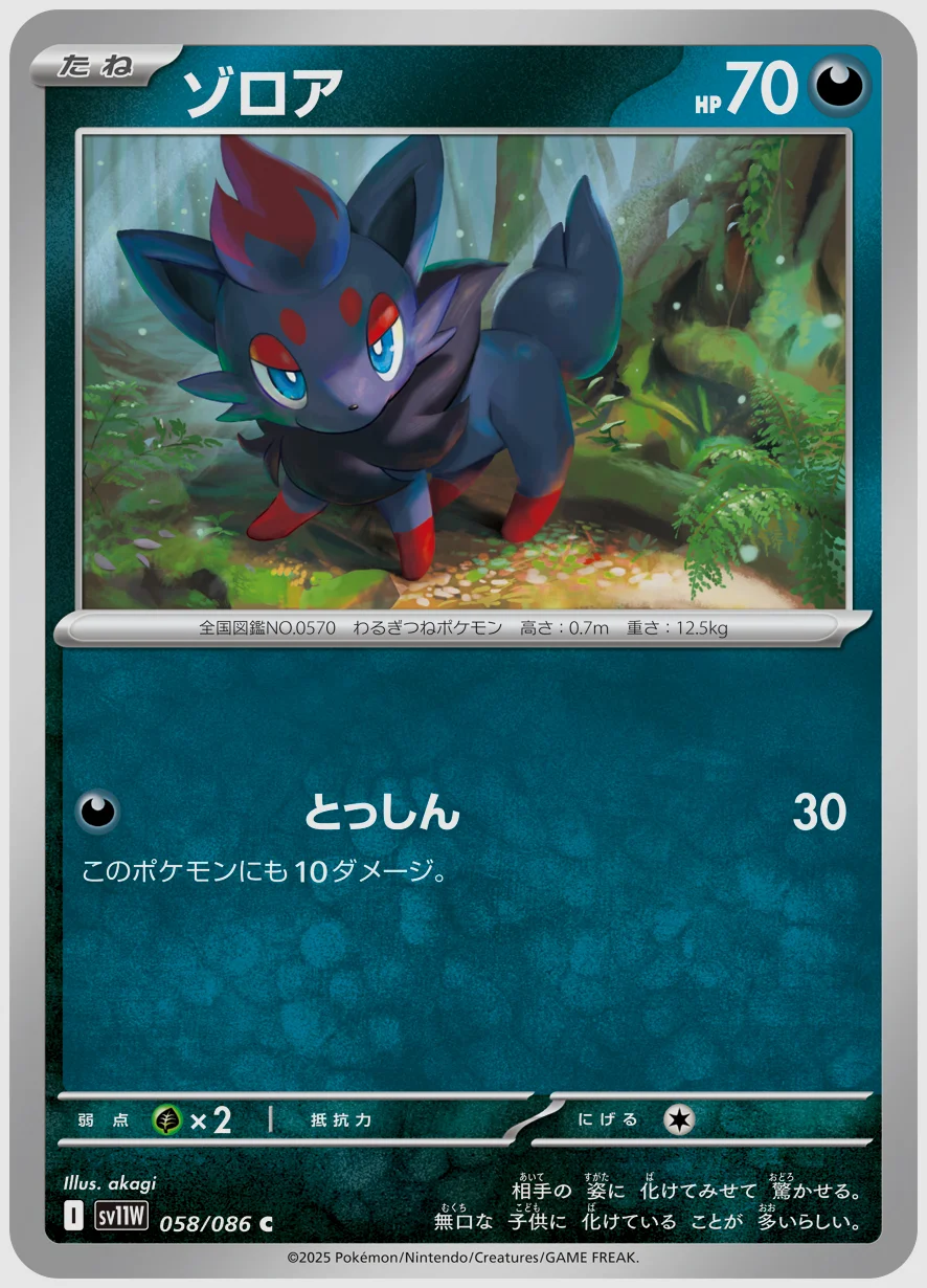 ゾロア