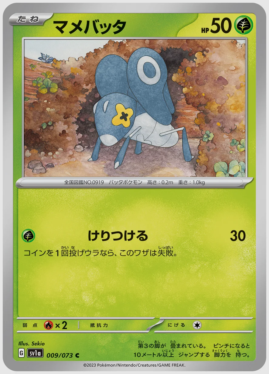 マメバッタ