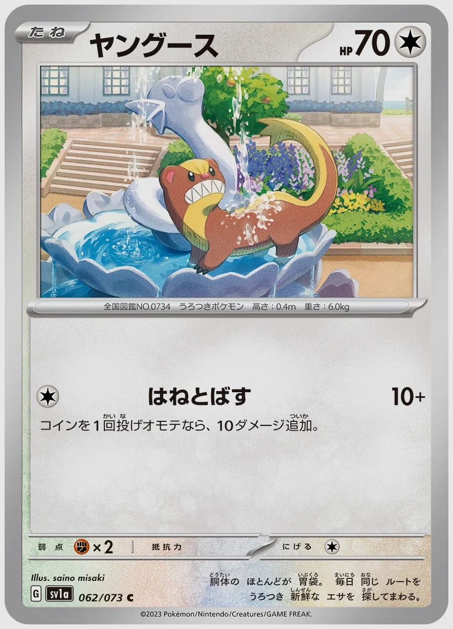 ヤングース