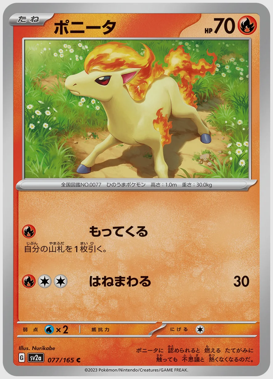 ポニータ