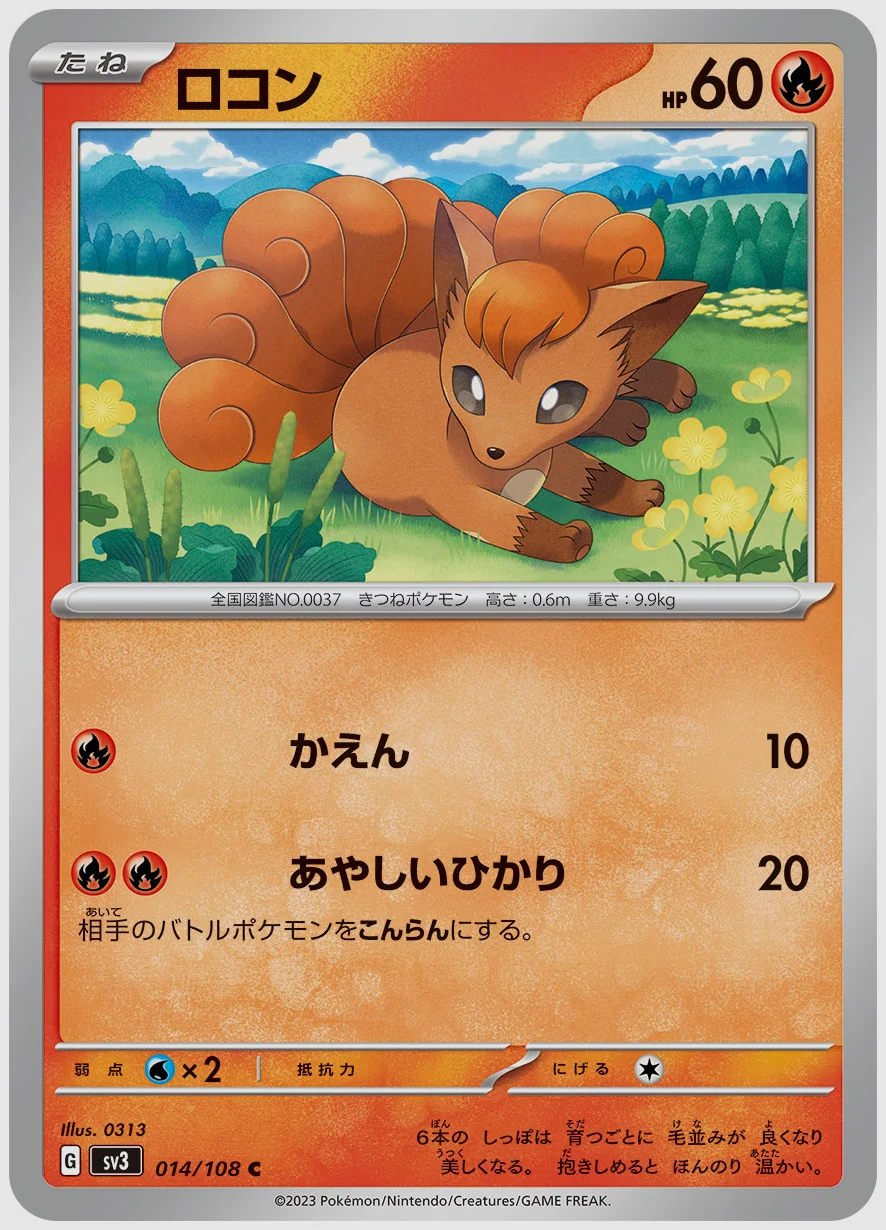 ロコン