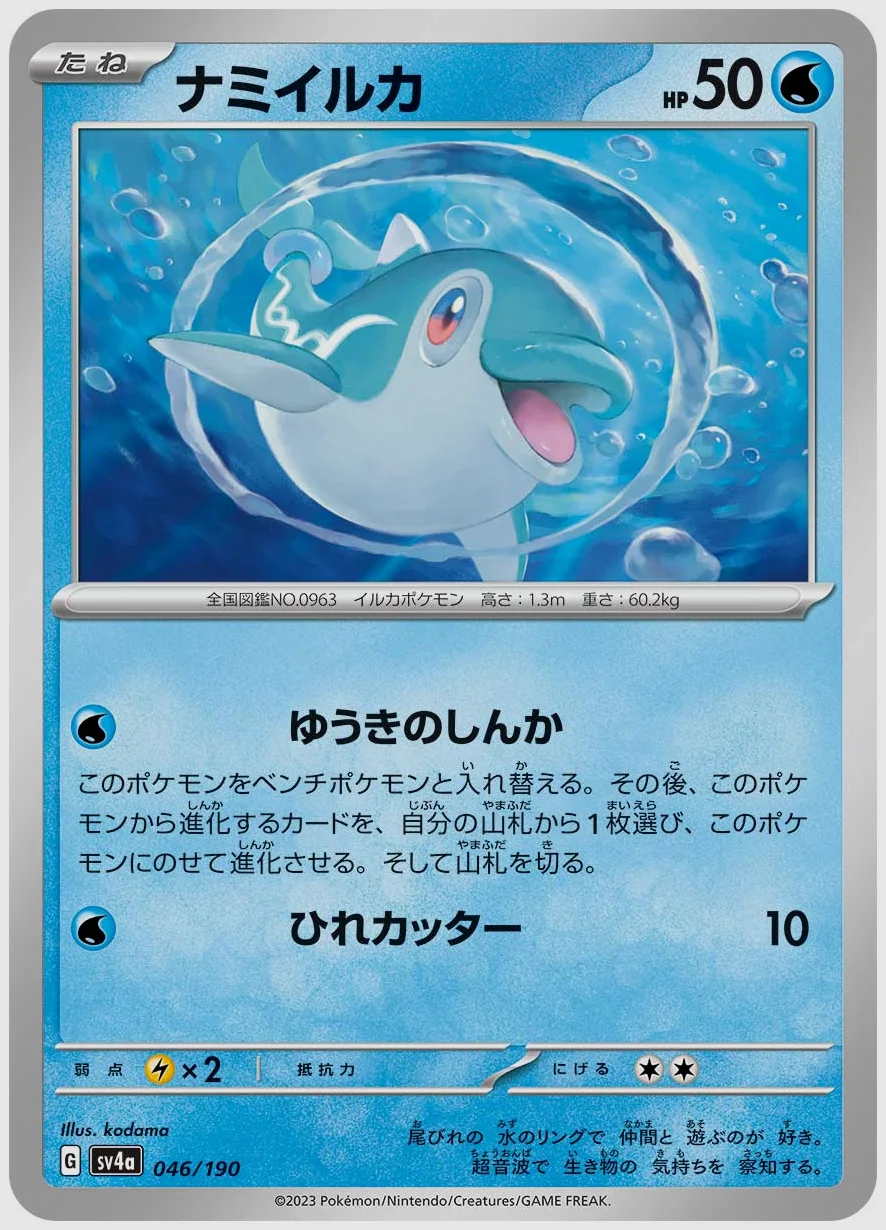 ナミイルカ