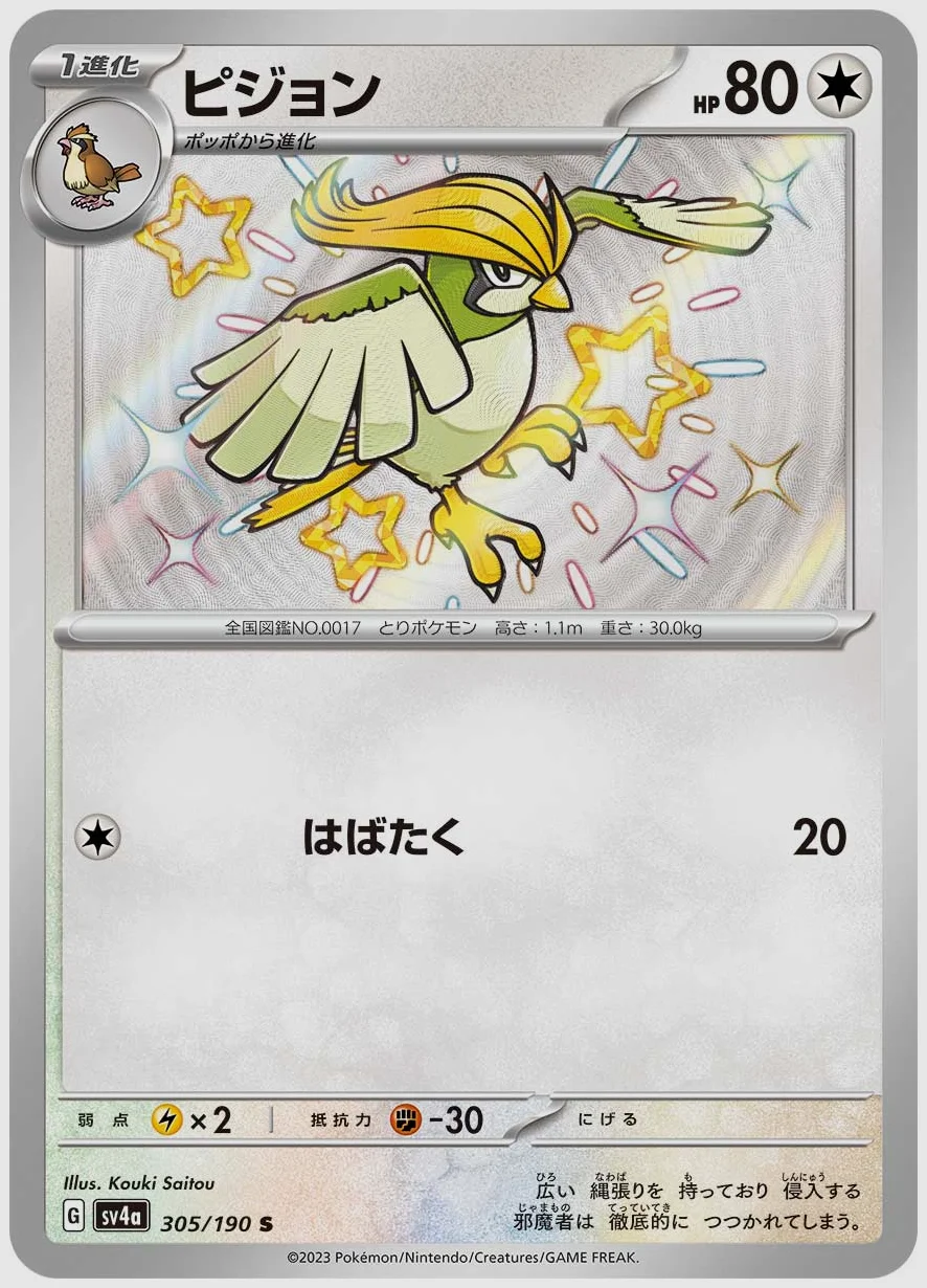 ピジョン