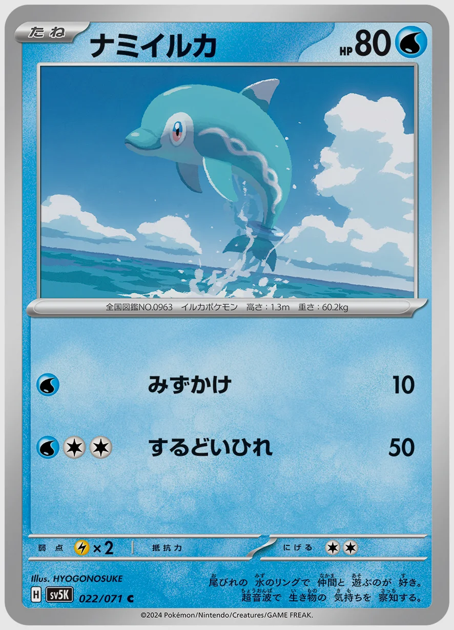 ナミイルカ