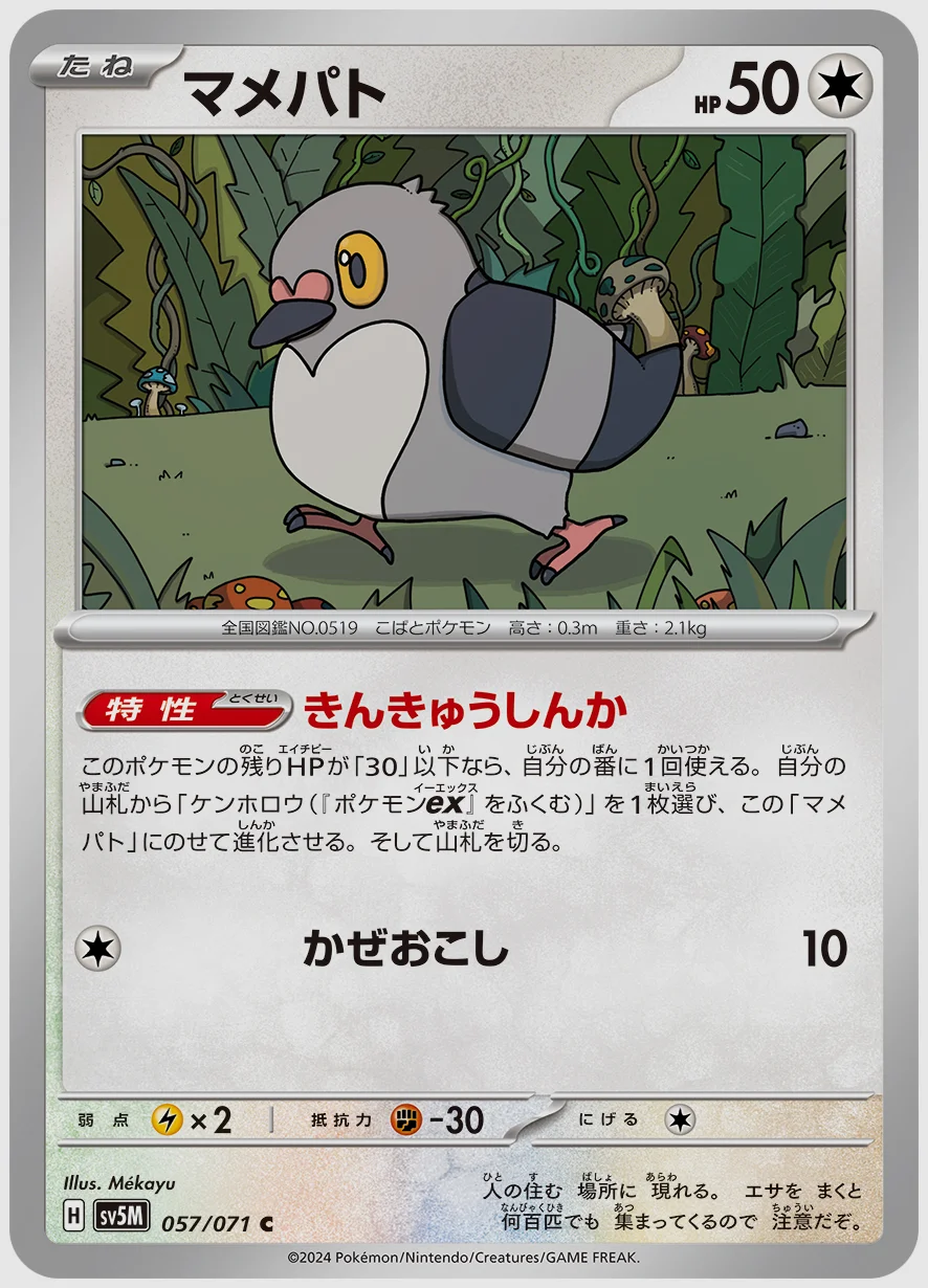 マメパト
