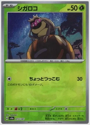 シガロコ
