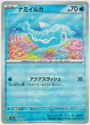 ナミイルカ