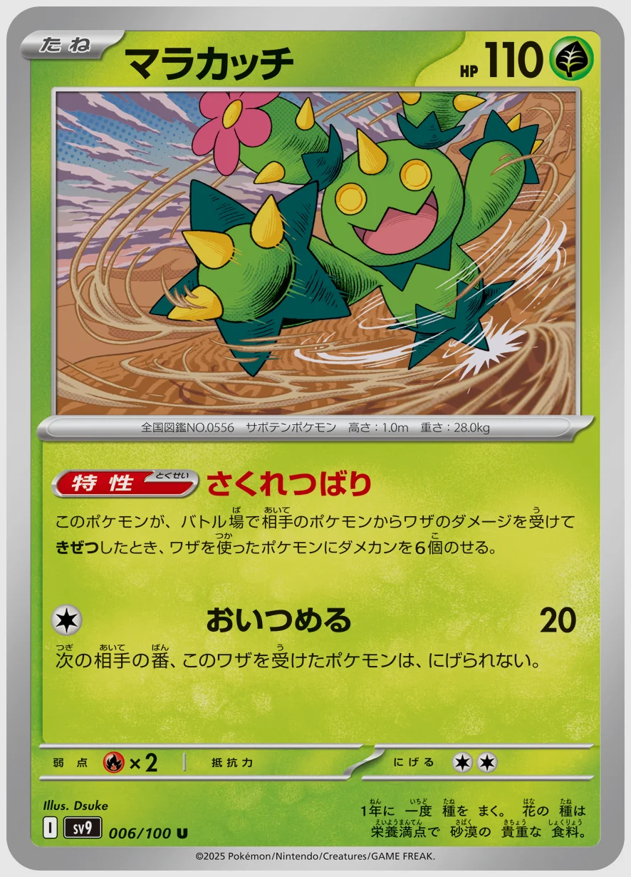 マラカッチ