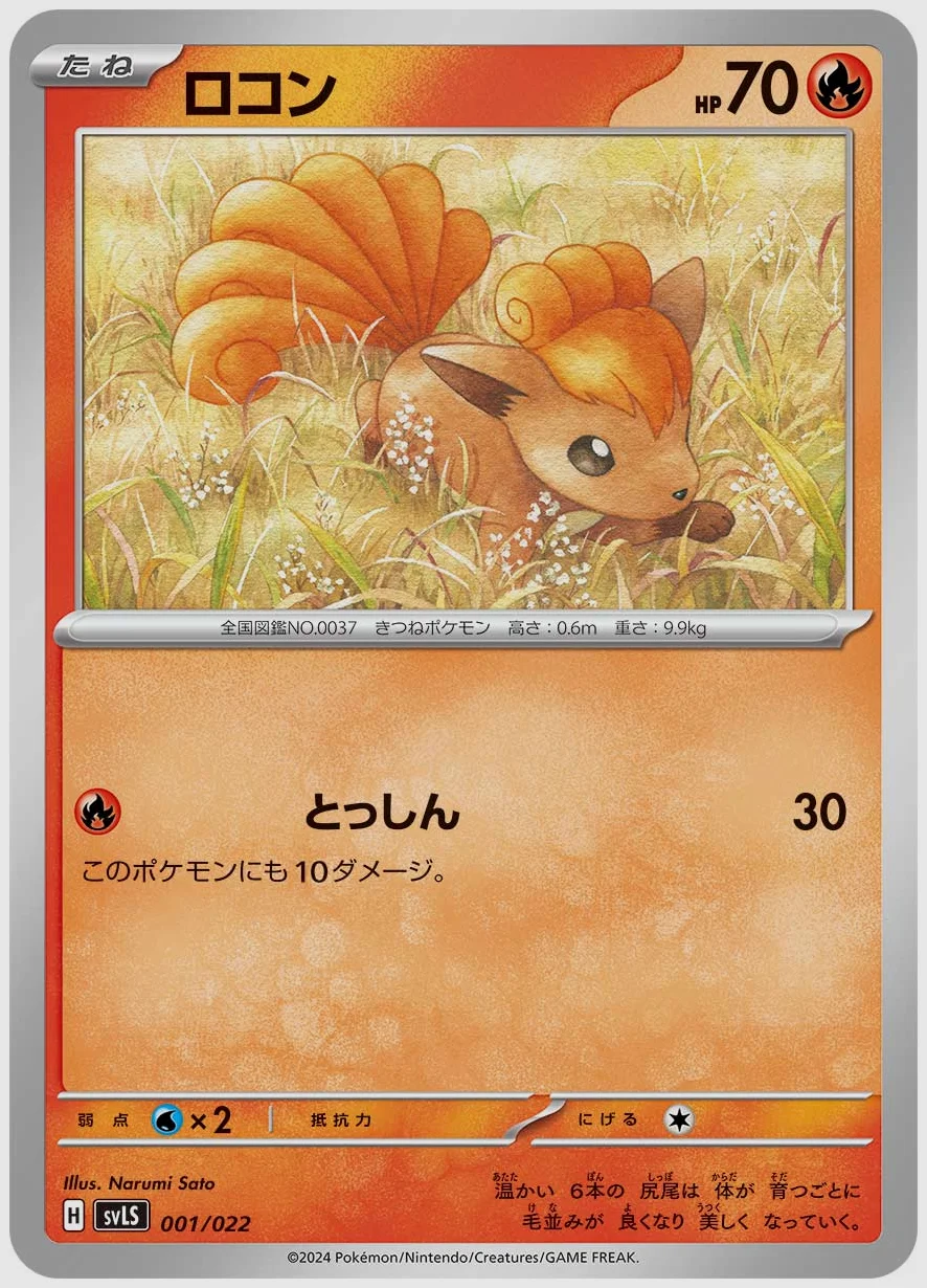 ロコン