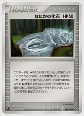 なにかの化石
