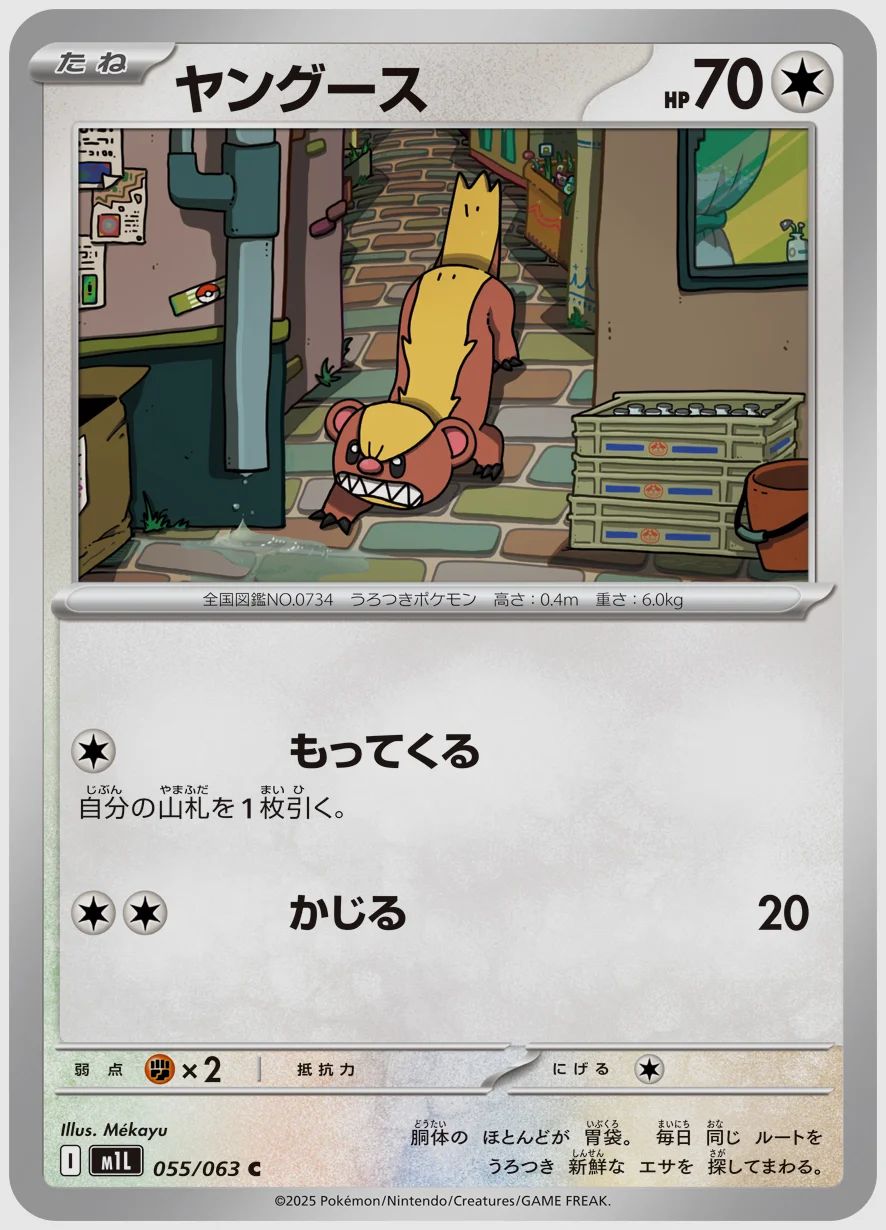 ヤングース