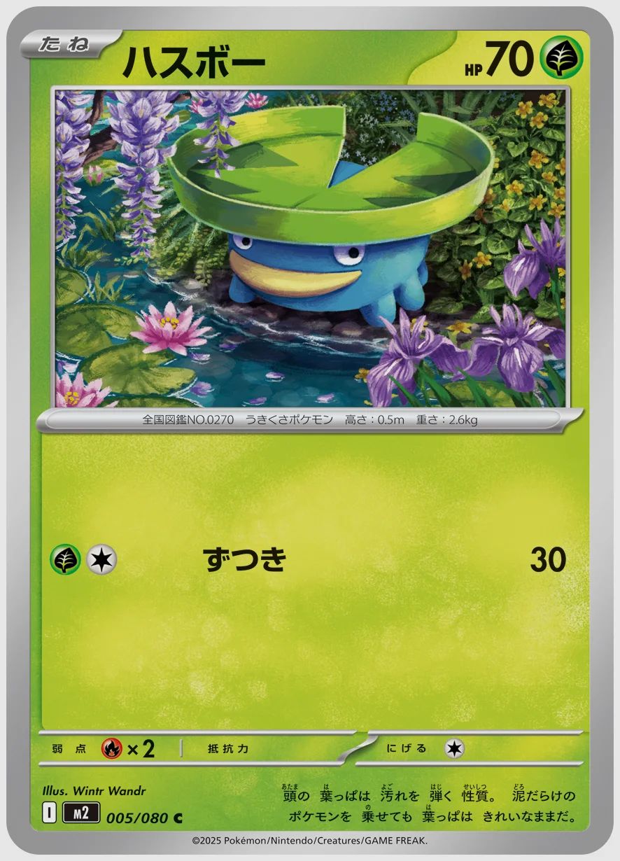 ハスボー