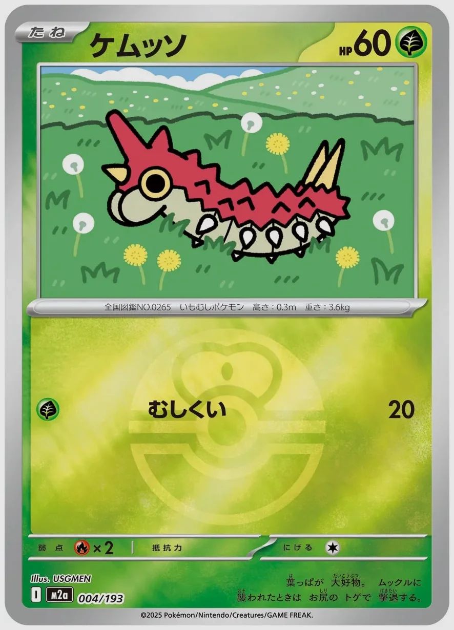 ケムッソ