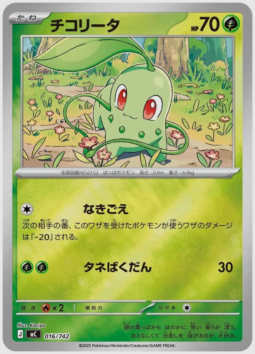 チコリータ