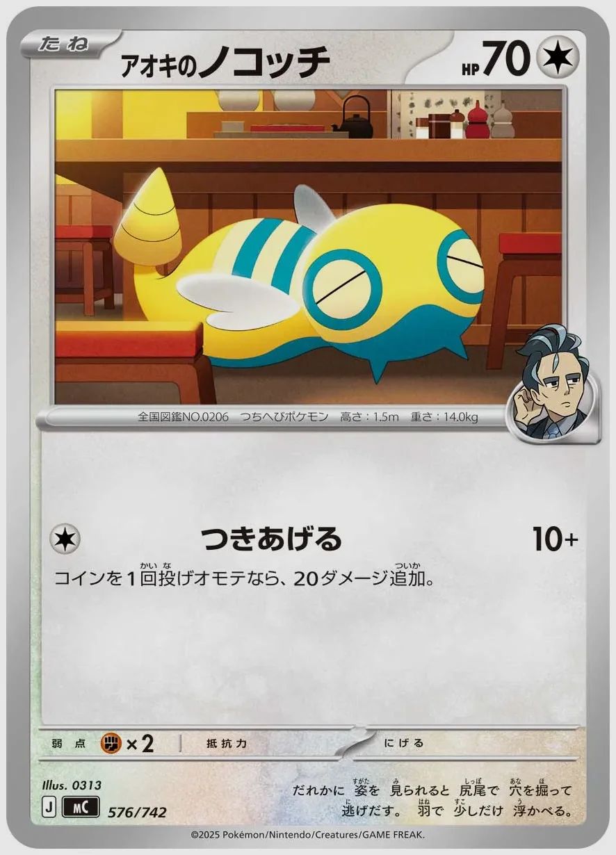 アオキのノコッチ