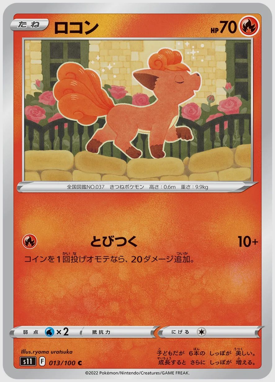 ロコン