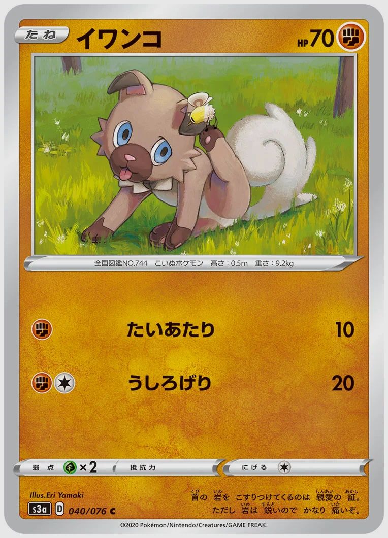 イワンコ