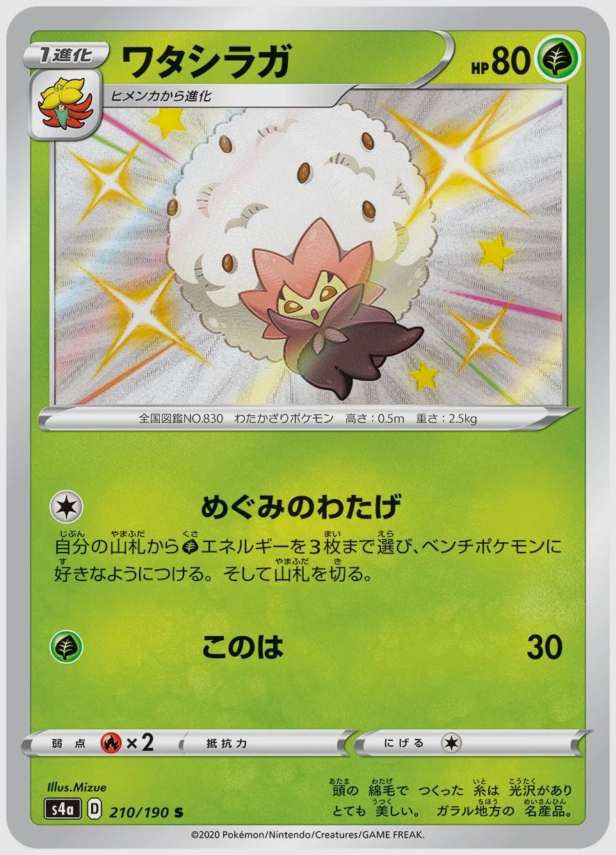 ワタシラガ