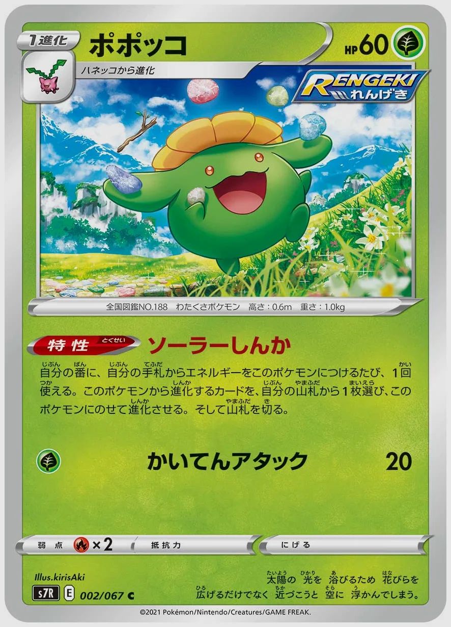 ポポッコ