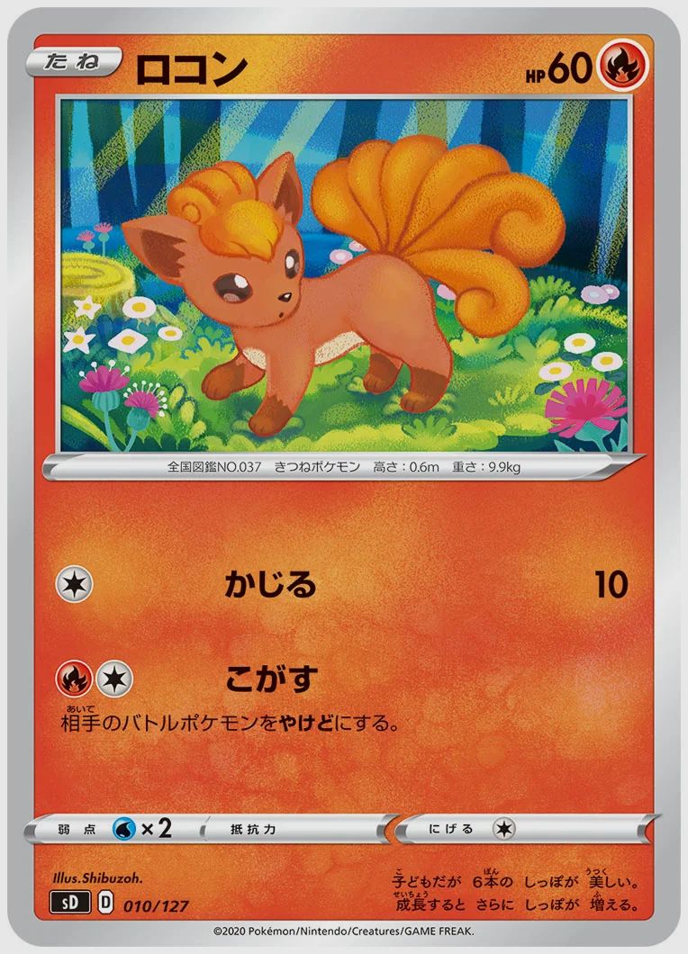 ロコン