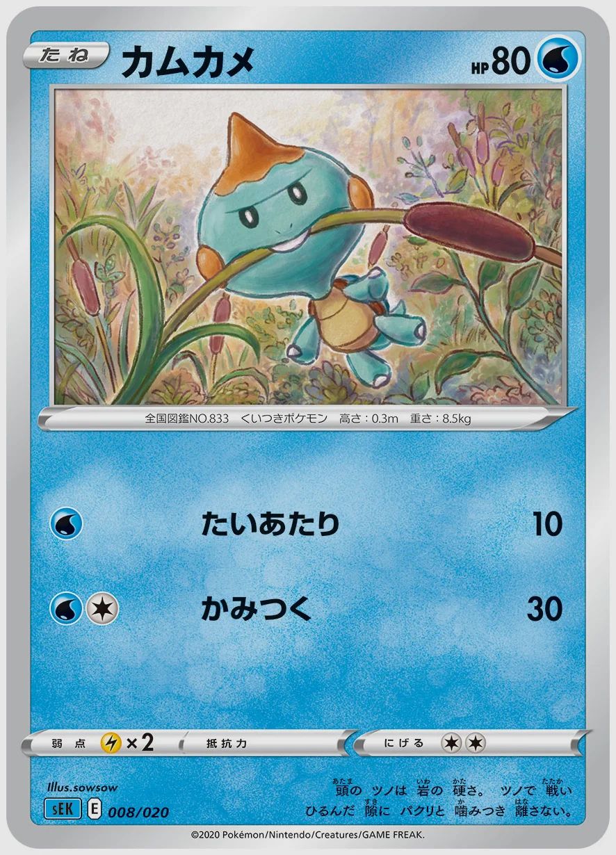 カムカメ
