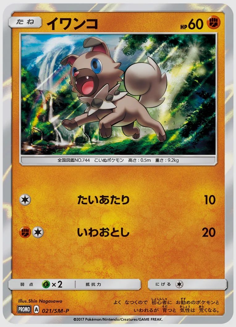 イワンコ