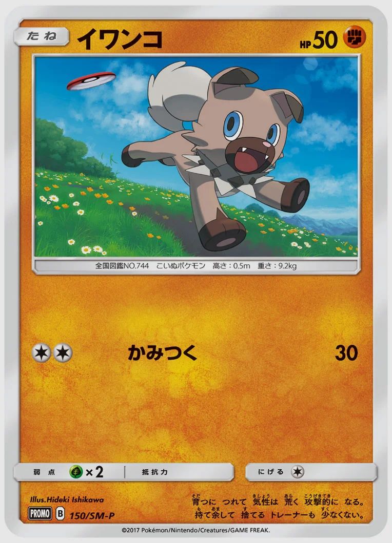 イワンコ