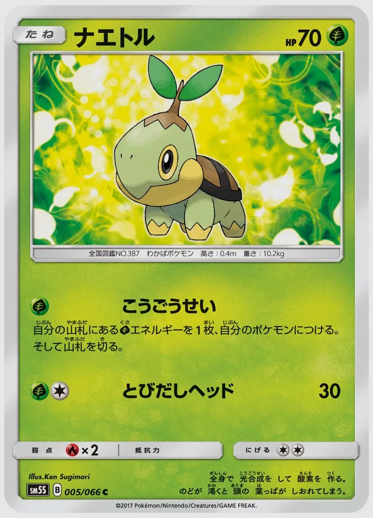 ナエトル