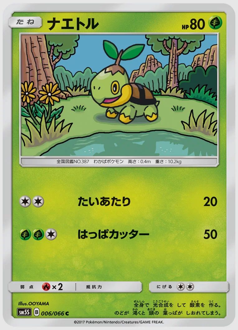 ナエトル